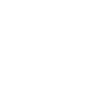 ALS logo